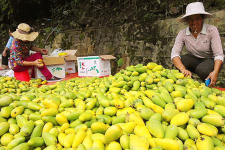 20190710225250704.jpg 20190710225250704.jpg