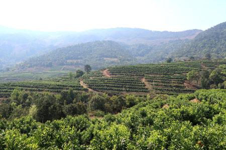 20190711225428842.jpg 20190711225428842.jpg