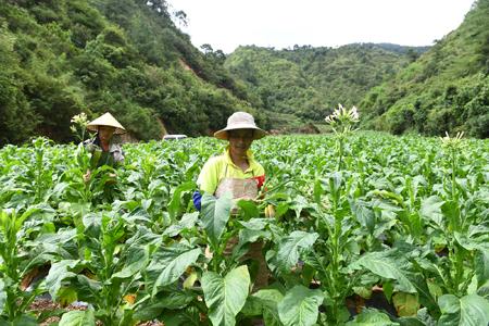 20190722222911262.jpg 20190722222911262.jpg