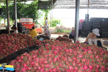 20190724224318450.jpg 20190724224318450.jpg