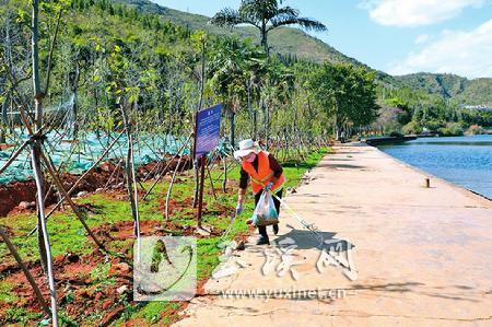 保洁员在抚仙湖沿岸进行卫生保洁  记者 李丹 摄