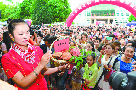 依托丰富的野生食用菌资源，易门已承办15届野生食用菌交易会。