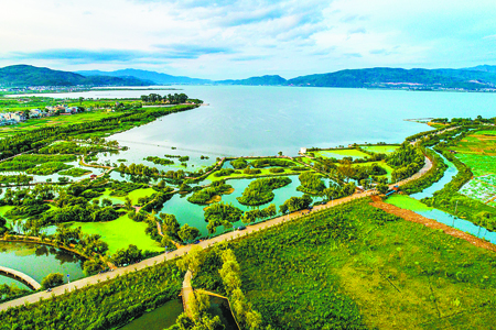 星云湖生态湿地成美景。
