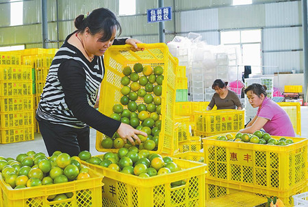 1_47337682596.png 1_47337682596.png