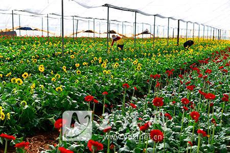 L_1575190874592114024