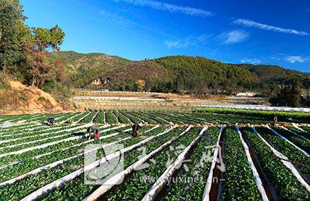 1_20200108234027650.jpg 1_20200108234027650.jpg