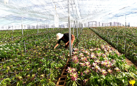 L_1578361523781338207.jpg L_1578361523781338207.jpg