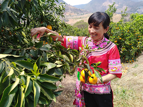 1_20200429002008847.jpg 1_20200429002008847.jpg