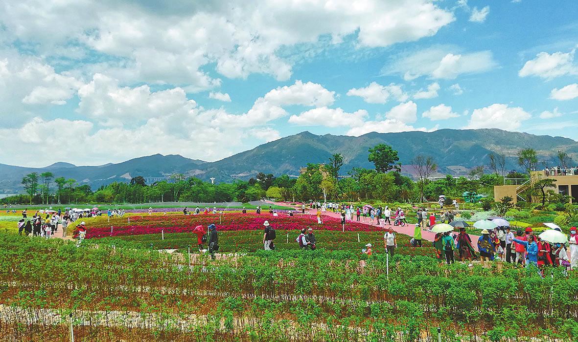 20200506003140181.jpg 20200506003140181.jpg