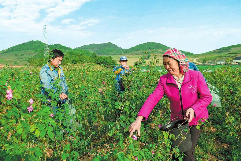 20200508070745150.jpg 20200508070745150.jpg