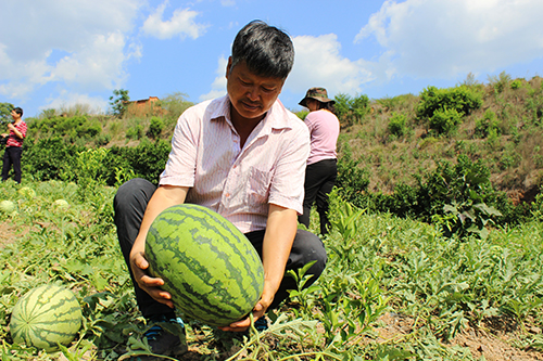 1_20200525001225155.jpg 1_20200525001225155.jpg