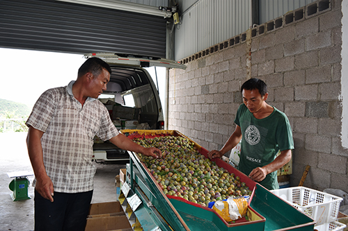 1_20200526055618611.jpg 1_20200526055618611.jpg