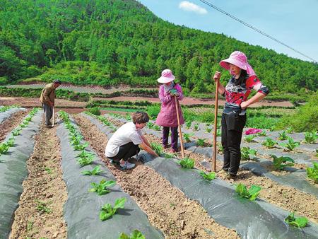 20200604070048684.jpg 20200604070048684.jpg