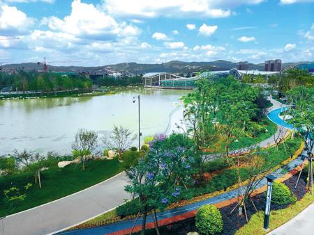 20200605025956986.jpg 20200605025956986.jpg