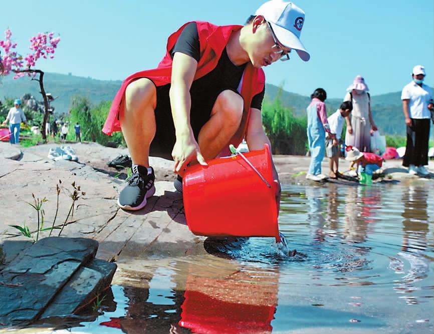 20200827065511615.jpg 20200827065511615.jpg