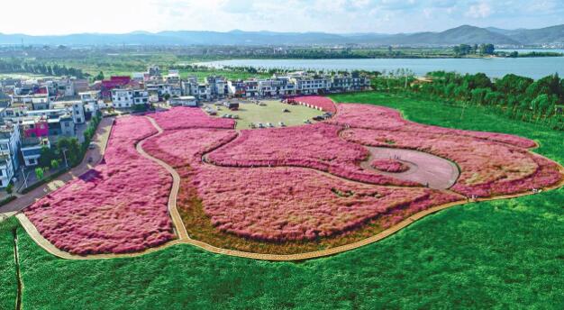 QQ截图20200911085740.jpg QQ截图20200911085740.jpg