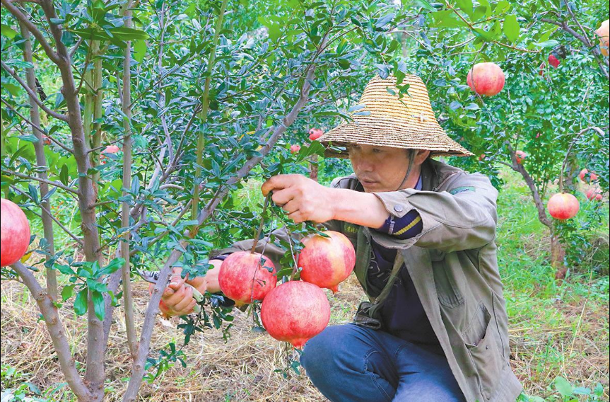 QQ截图20200924114156.png QQ截图20200924114156.png