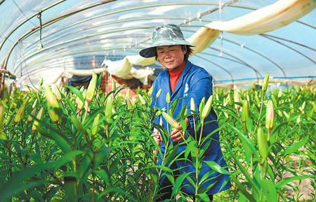 20201123065422409.jpg 20201123065422409.jpg