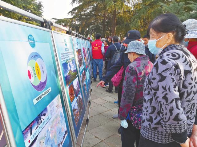 11 (1).jpg 11 (1).jpg