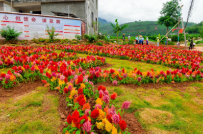 QQ图片20211009085025.png QQ图片20211009085025.png