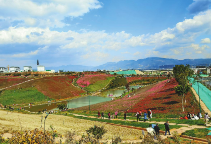 QQ图片20220208084944.png QQ图片20220208084944.png