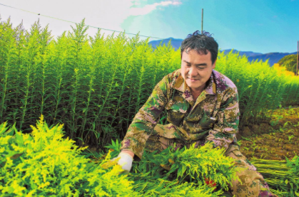 QQ图片20220217081703.png QQ图片20220217081703.png