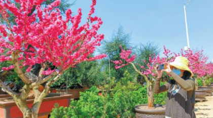 QQ图片20220325094012.png QQ图片20220325094012.png