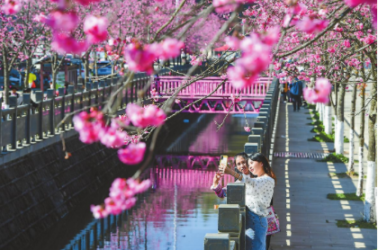 QQ图片20220325094002.png QQ图片20220325094002.png