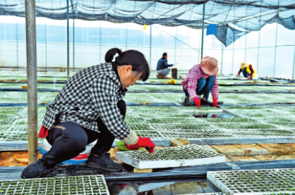 QQ图片20220331090721.png QQ图片20220331090721.png