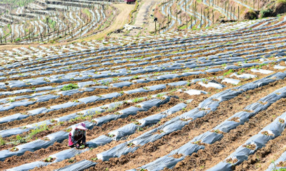 QQ图片20220331090731.png QQ图片20220331090731.png