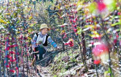 QQ图片20220331090743.png QQ图片20220331090743.png