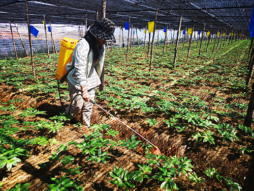 150846011o9w.jpg 150846011o9w.jpg