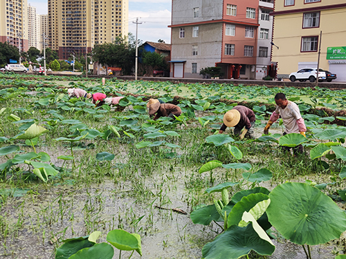 08091028cvpa.jpg 08091028cvpa.jpg