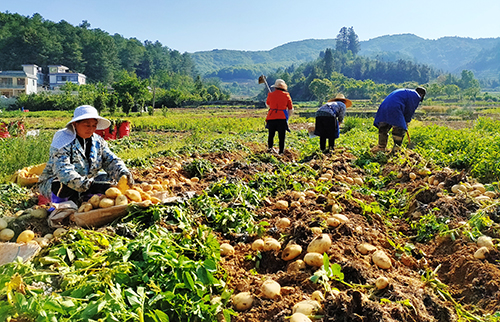 090959482446.jpg 090959482446.jpg