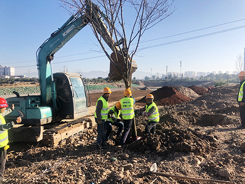 1510161145n2.jpg 1510161145n2.jpg