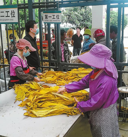 QQ图片20220823084801.png QQ图片20220823084801.png