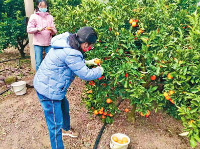 QQ图片20221220094910.png QQ图片20221220094910.png