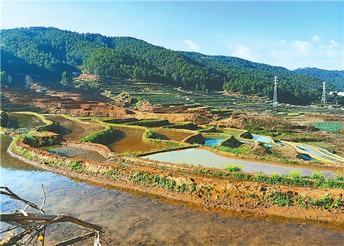 5_副本.jpg 5_副本.jpg