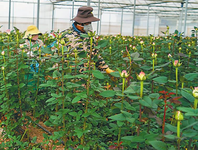 QQ图片20230106102152.png QQ图片20230106102152.png