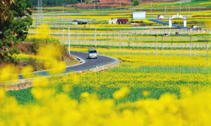 QQ图片20230129083311.png QQ图片20230129083311.png