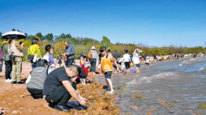 QQ图片20230130085340.png QQ图片20230130085340.png