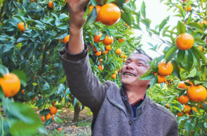 QQ图片20230216083906.png QQ图片20230216083906.png