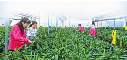 QQ图片20230314091906.png QQ图片20230314091906.png