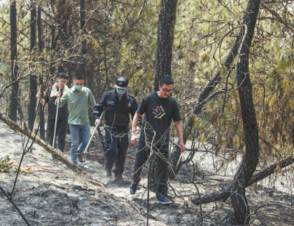 QQ图片20230421131021.png QQ图片20230421131021.png