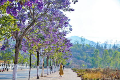 QQ图片20230427090427.png QQ图片20230427090427.png