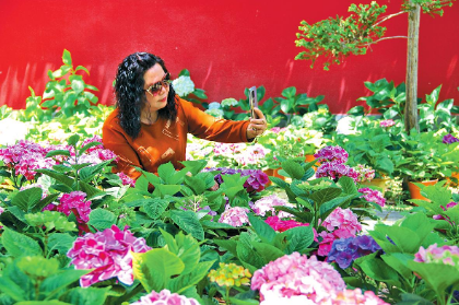 QQ图片20230519083521.png QQ图片20230519083521.png