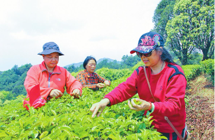 QQ图片20230519083536.png QQ图片20230519083536.png