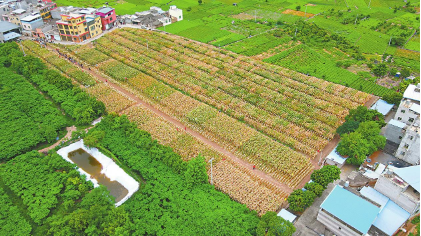 QQ图片20230713090925.png QQ图片20230713090925.png