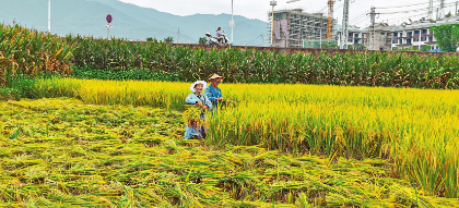 QQ图片20230907082405.png QQ图片20230907082405.png