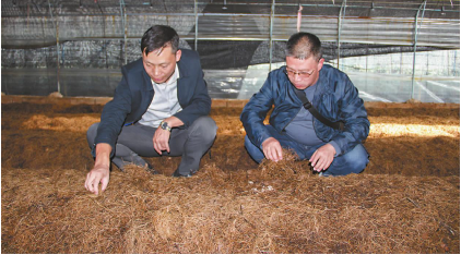 QQ图片20231107091106.png QQ图片20231107091106.png